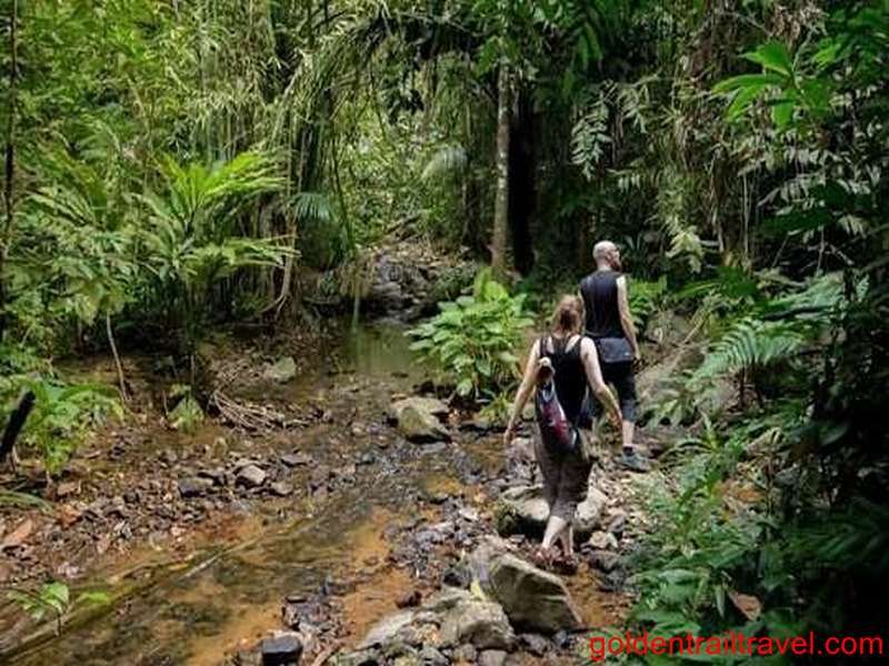 Trekking Bidoup National Park 2 Day